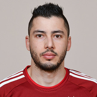 Everton Ribeiro Fontoura