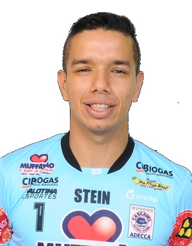 Silvio Ramon Carvalho Santos Silva