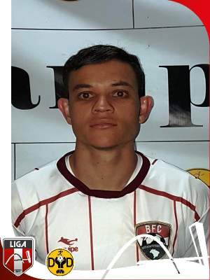 Diogo Henrique Terozeni