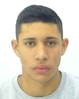 Guilherme Henrique Borges Sanches