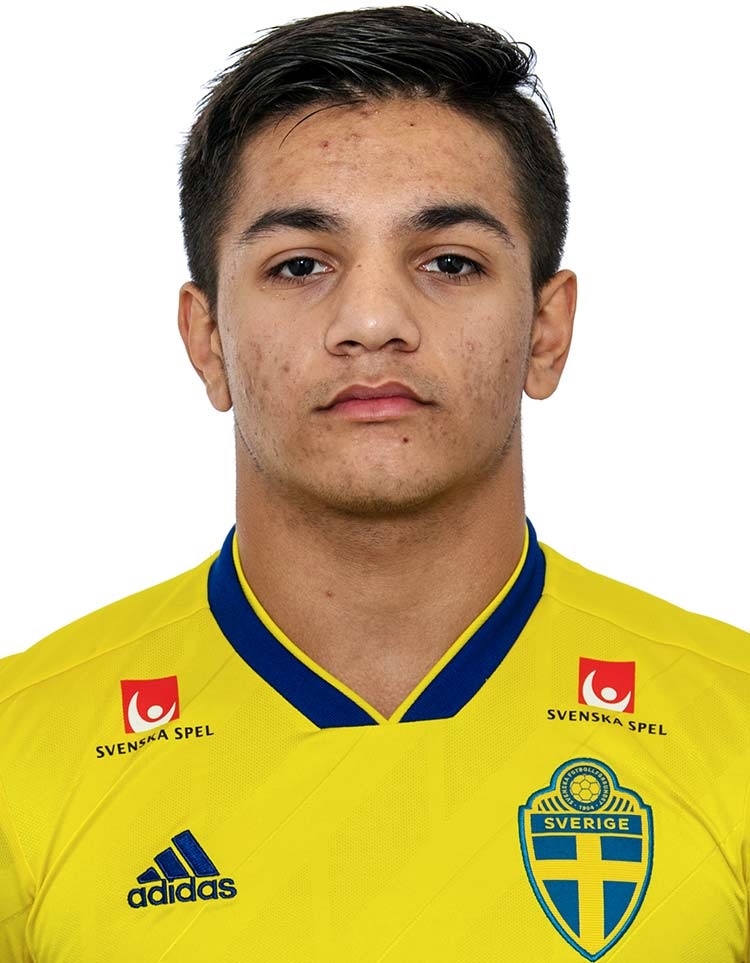 Demir Sulejmanovic