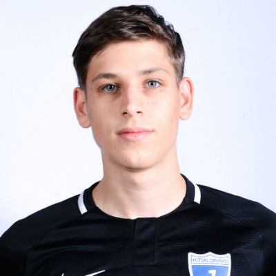 Karlo Malosevac