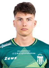 Zoltan Szalmas
