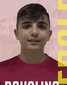 Andrea Gelonese