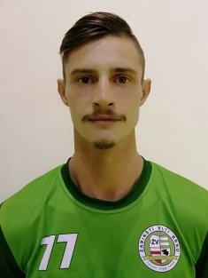 Dominik Havlin